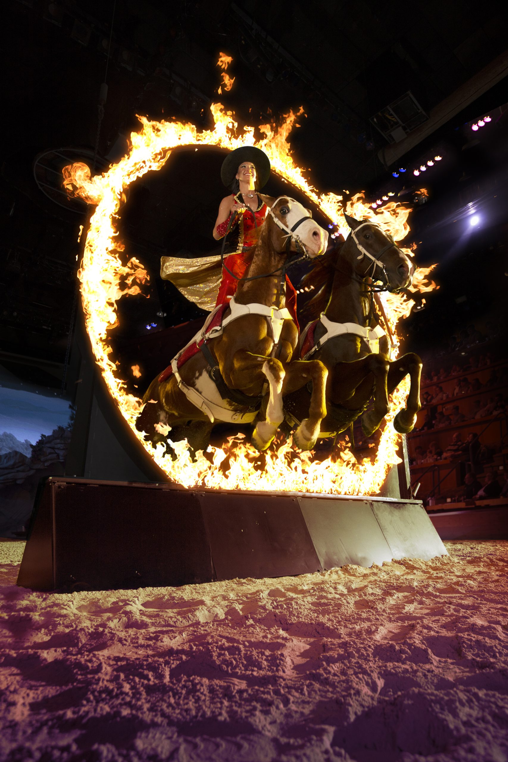 Featured image for “Dolly Parton’s Stampede”
