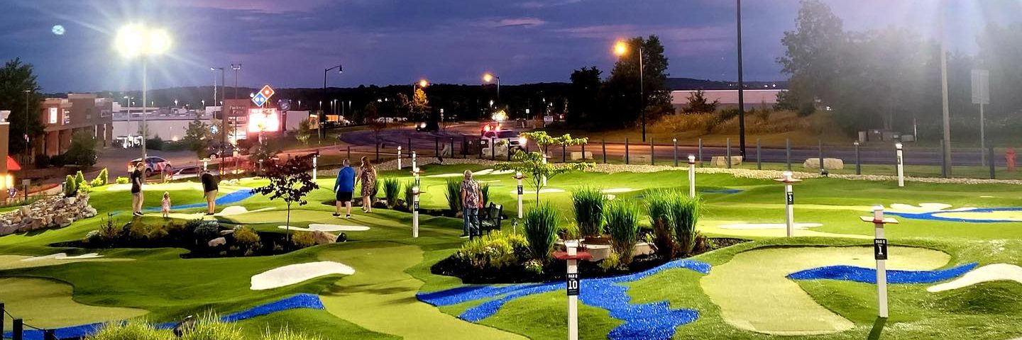 Featured image for “The Social Birdy”