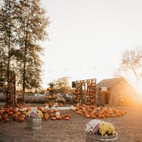 Featured image for “Sycamore Creek’s Fall Roundup: One of Branson’s Hidden Fall Gems”