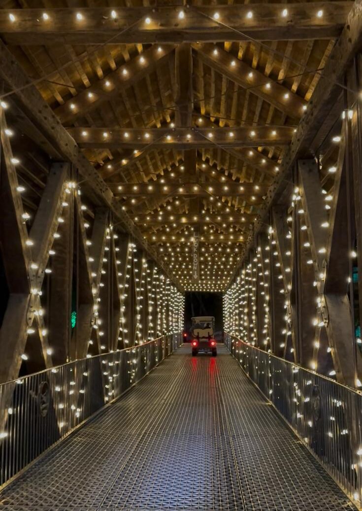 Featured image for “Nature at Night Top of the Rock: Branson Christmas Guide”