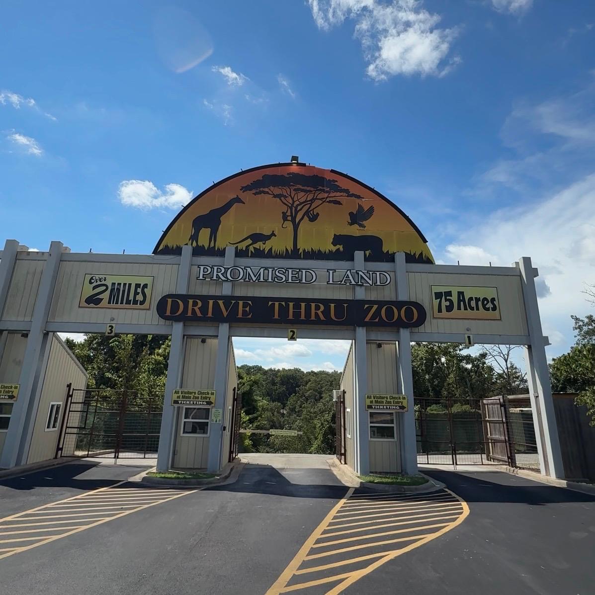 Featured image for “Promised Land Zoo Let There Be Lights Christmas Guide”