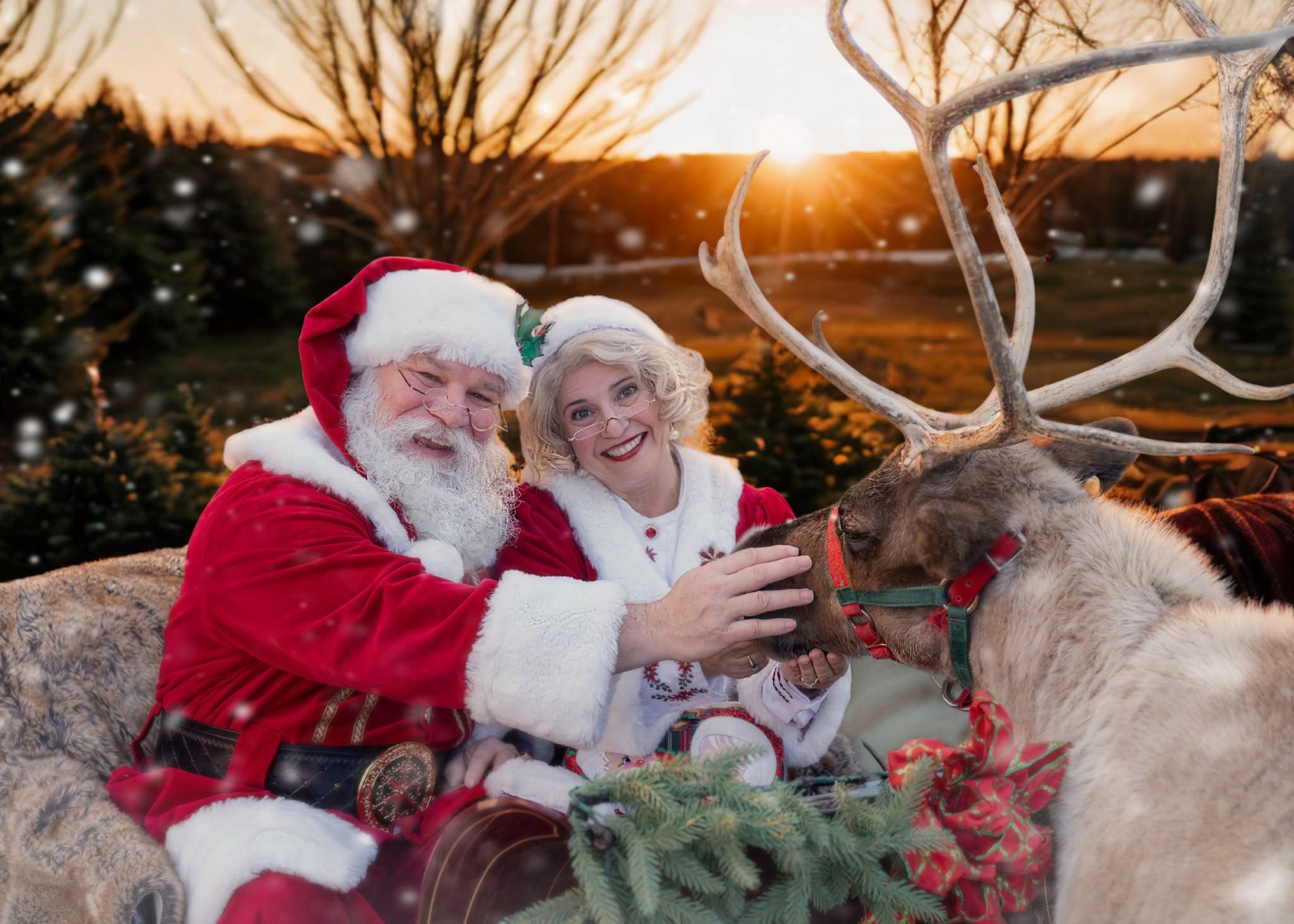 Featured image for “Santa and His Reindeer Near Branson, Missouri”